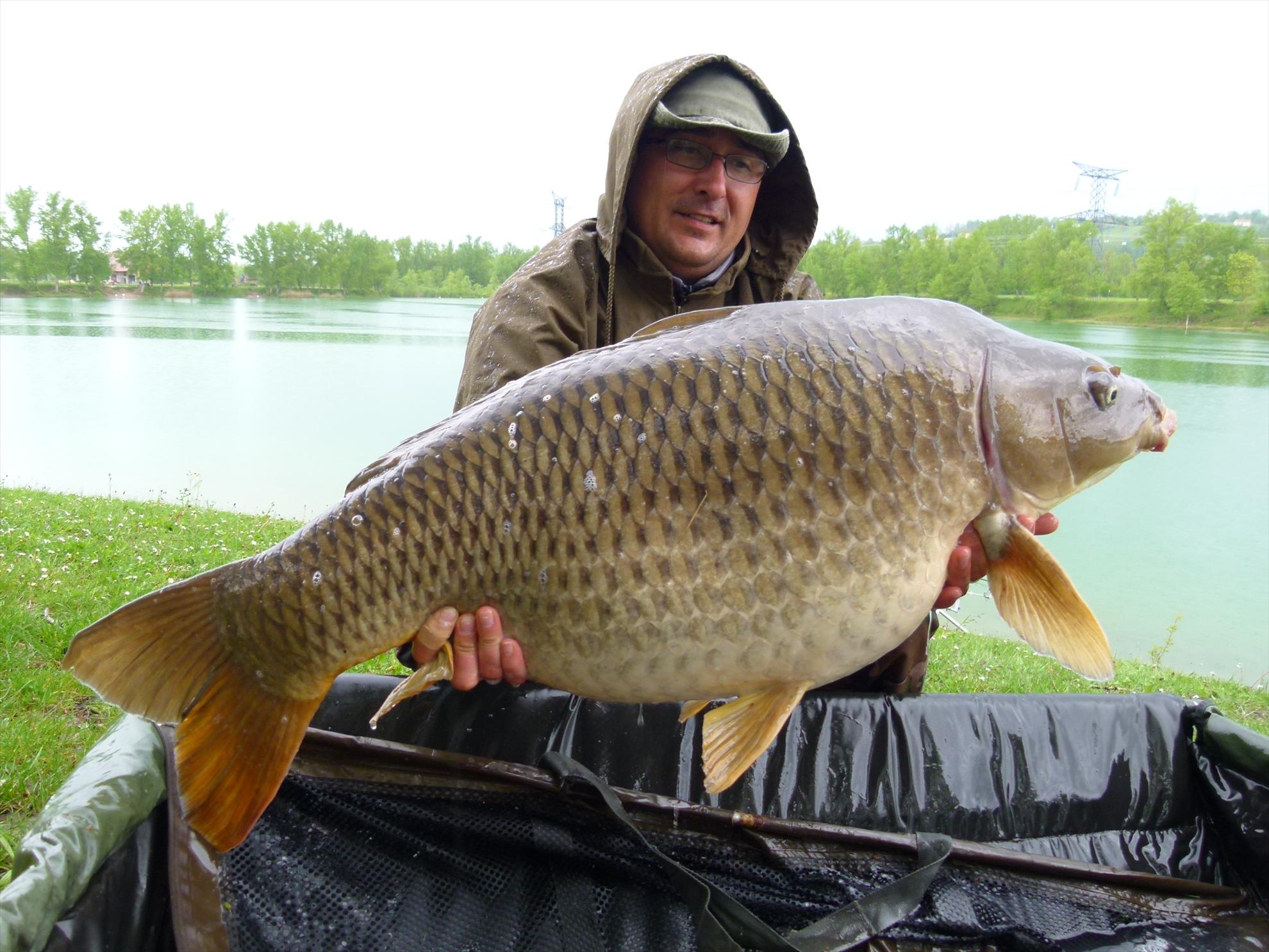 THE BIGS OF 2012 - p1000039.JPG